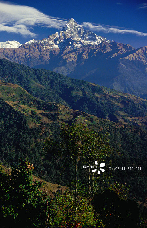 安纳普尔纳地区神圣的鱼尾峰图片素材