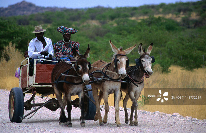 旅行中的赫雷罗夫妇，卡奥科兰图片素材