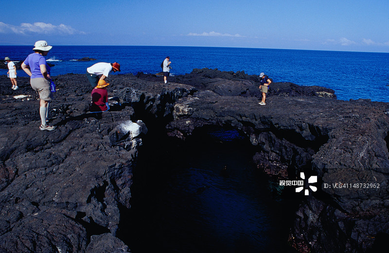 游客在埃加斯港的潮汐池中观赏加拉帕戈斯海狮图片素材