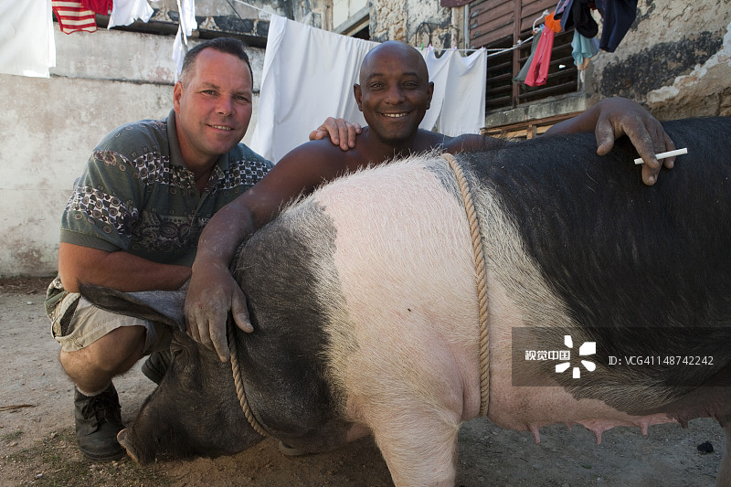 两个男人和一头猪图片素材