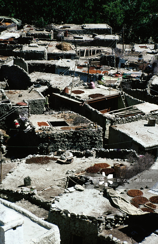 洪扎山谷阿尔提特的果蔬干燥图片素材