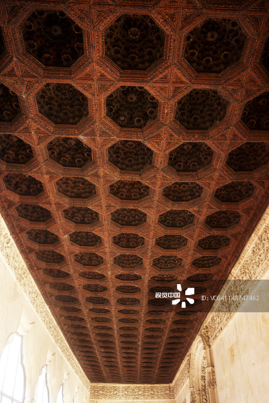 萨拉曼卡大学的雕刻木制天花板图片素材