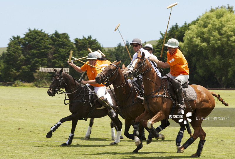 邓斯坦斯和特阿考 stud 的骑手在怀迈巴兰斯马球俱乐部锦标赛中比赛图片素材