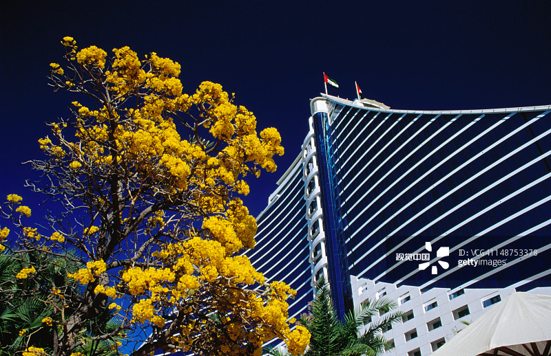 朱美拉海滩的朱美拉海滩酒店，有开花的树木图片素材