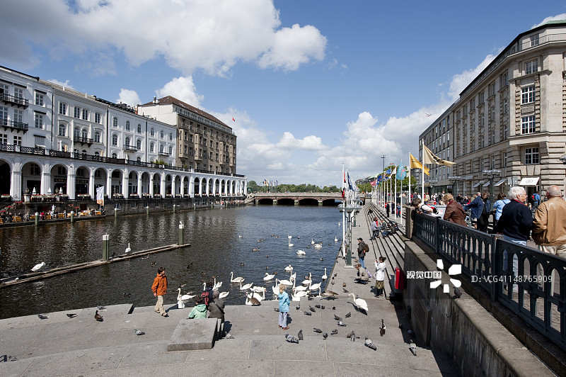 人们在汉堡小阿尔斯特湖畔喂天鹅图片素材