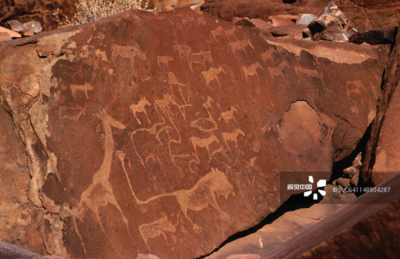 描绘动物及其足迹的古代岩石雕刻，特威费尔方丹图片素材
