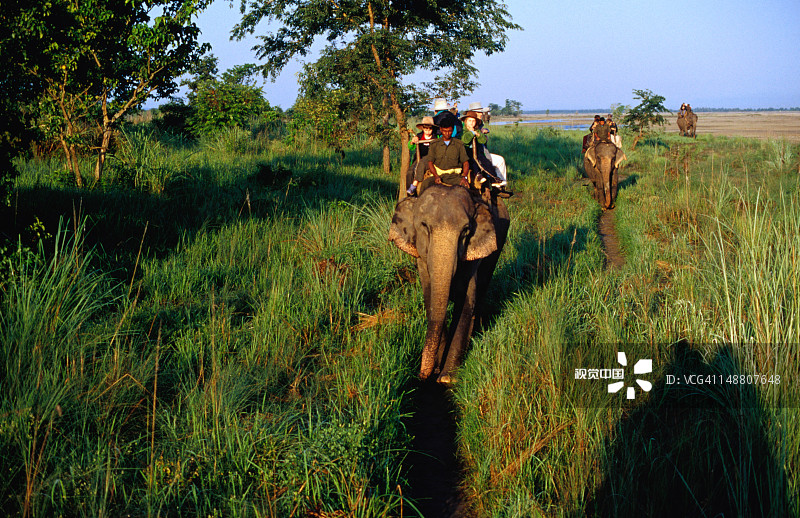 在皇家奇特旺国家公园骑象旅行的游客图片素材