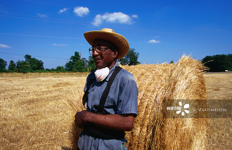 收获后，一位农民拿着一捆小麦，蒙蒂塞洛，佐治亚州图片素材