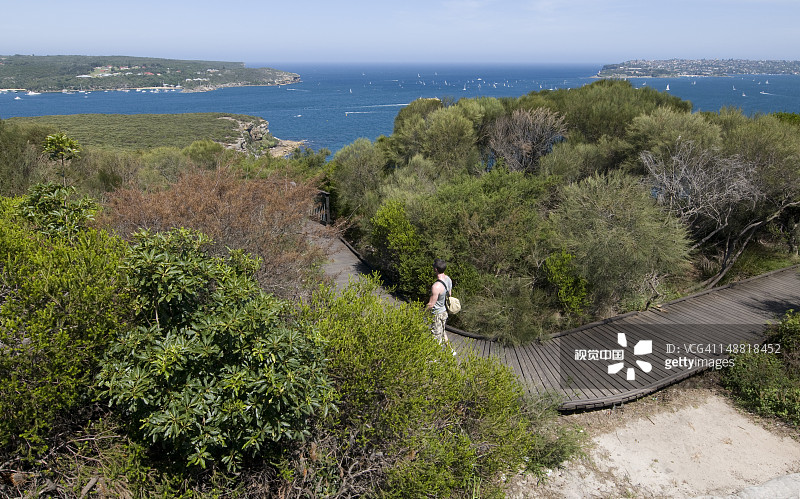 连接曼利步道的斯皮特大桥图片素材