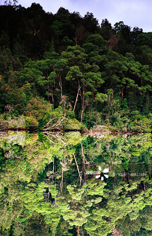 戈登河的倒影图片素材