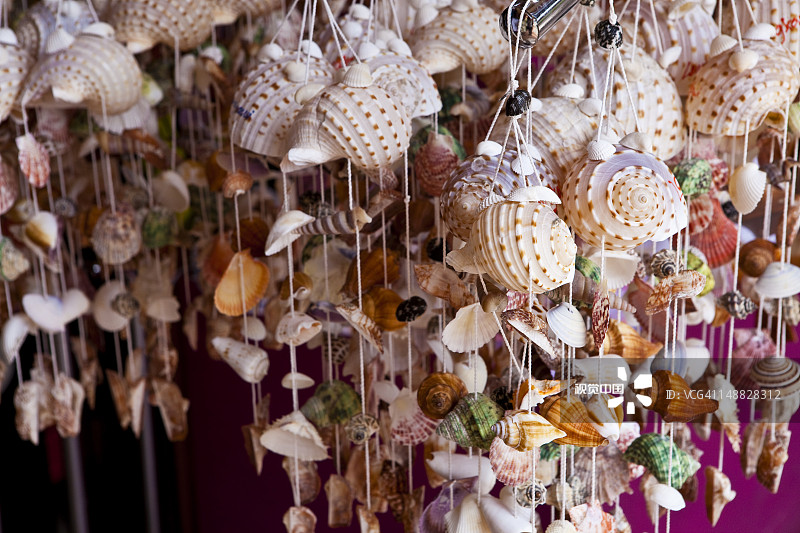 东方村购物中心商店外展示的贝壳纪念品，Pantai Kok图片素材