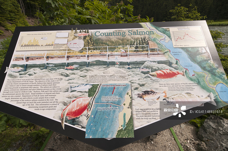 奇尔库特湖鲑鱼计数站信息标志图片素材