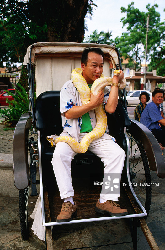 在荷兰广场与白化蟒蛇合影的游客图片素材
