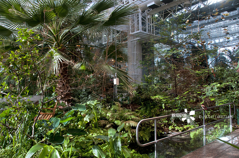 皇家泰瑞尔恐龙博物馆的“白垩纪花园”图片素材