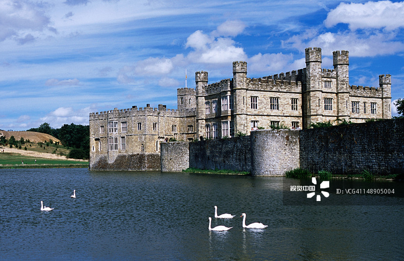 利兹城堡前湖中的天鹅图片素材