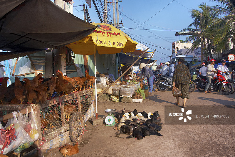 富国岛阳东市场上的鸡肉摊位图片素材