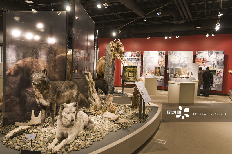 惠特尼美术馆立体模型图片素材