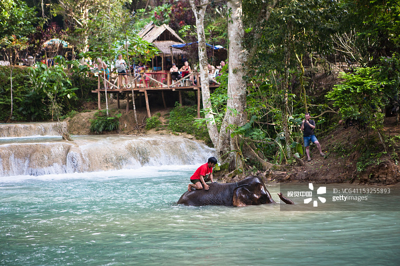 男孩在河里给大象洗澡图片素材
