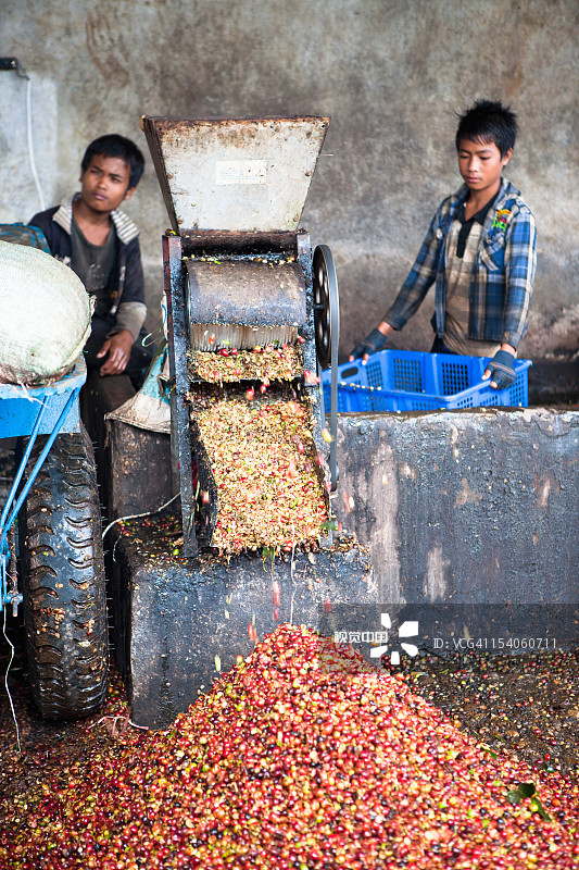 当地工人在操作咖啡机图片素材