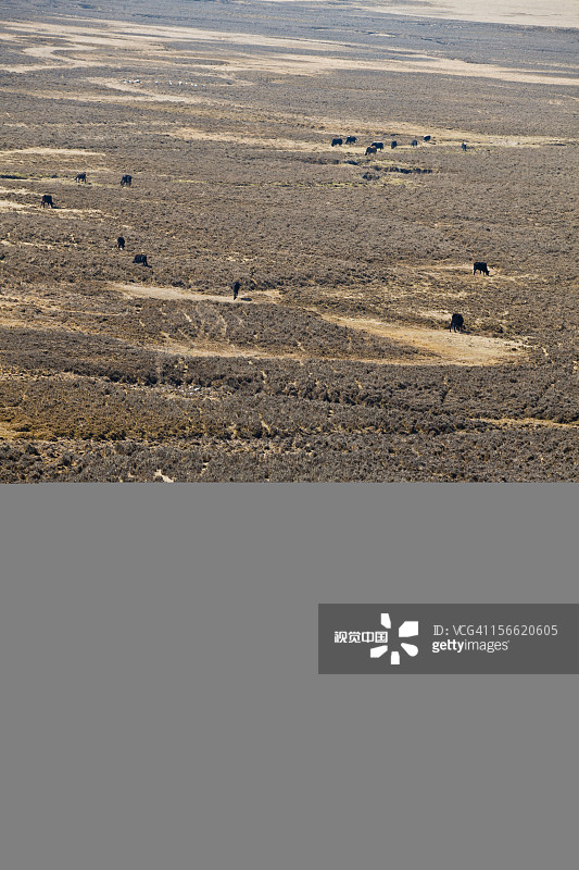 在山谷中的游客图片素材