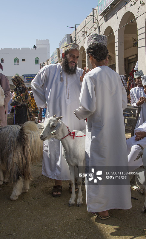 在伊卜拉的牲畜市场进行交易的阿拉伯男人图片素材