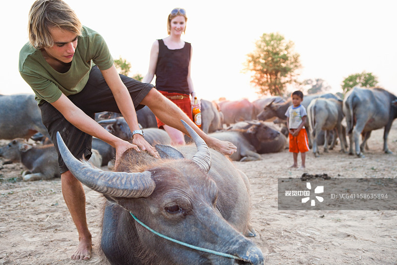 人们骑水牛图片素材