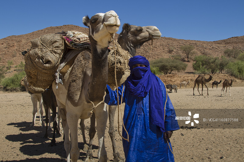 图阿雷格人护送骆驼商队图片素材