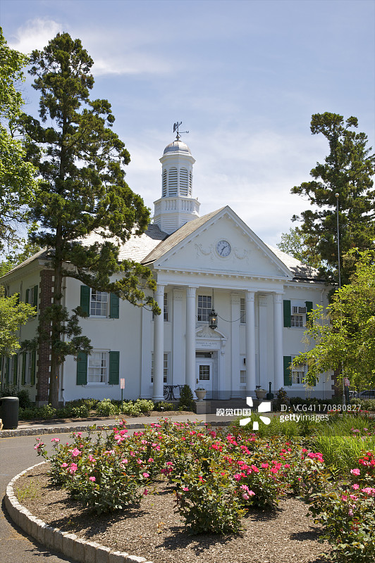 白色柱状建筑下的红色玫瑰图片素材