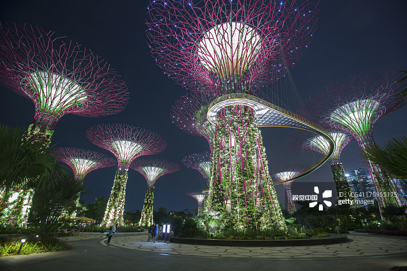 新加坡滨海湾花园的擎天大树图片素材