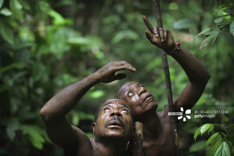 寻找蜂巢的采蜜人图片素材