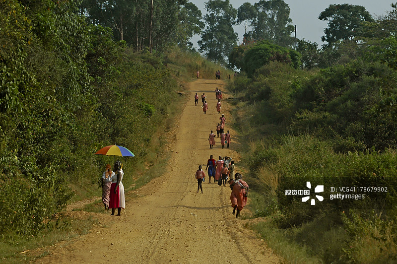 乌干达比温迪卡农古村庄周边图片素材
