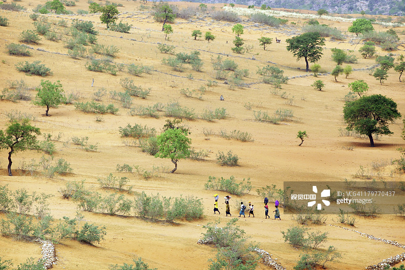 马里邦贾加拉悬崖下的萨赫勒沙漠图片素材