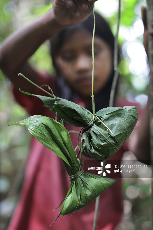 皮奥拉部落女孩抱着包裹好的狼蛛图片素材