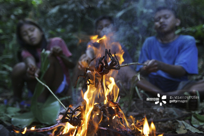 孩子们烤狼蛛烧烤图片素材