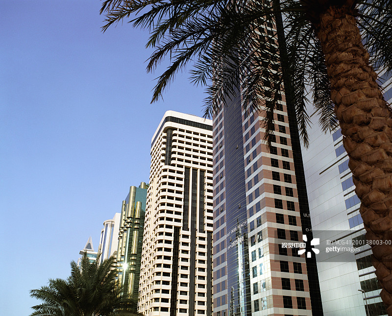 阿拉伯联合酋长国迪拜，棕榈树和一排建筑物图片素材