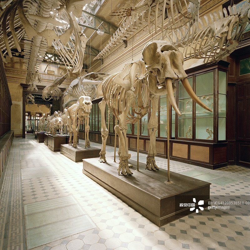 阿根廷拉普拉塔自然历史博物馆图片素材