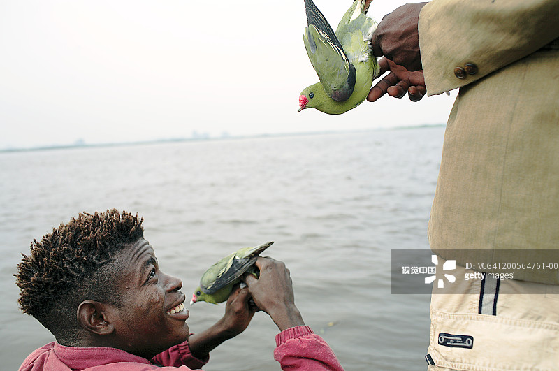 刚果民主共和国姆班达卡刚果河上，两名男子在船上拿着绿色小鸟图片素材