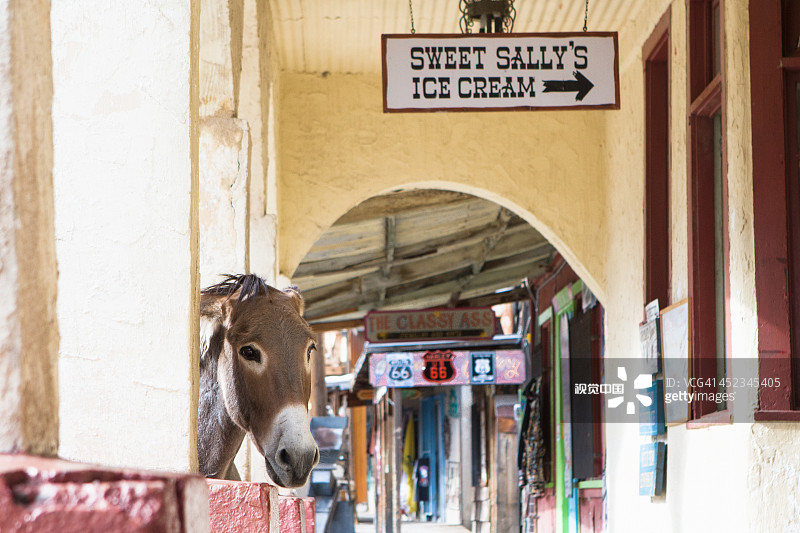 一头驴走在这座城镇的街道上图片素材