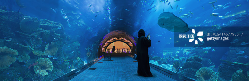 拍摄黄貂鱼的阿拉伯女人图片素材