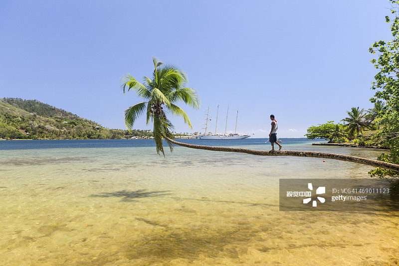 走在棕榈树上的年轻男人图片素材