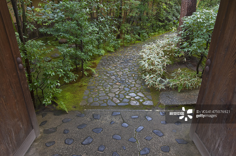 日本京都的茶园小径图片素材