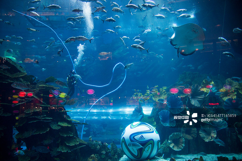 迪拜购物中心水族馆里的超大足球图片素材