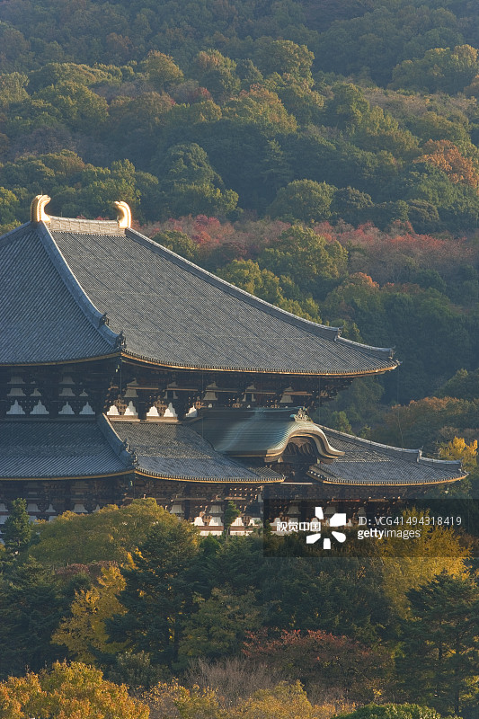日本奈良东大寺大佛殿图片素材