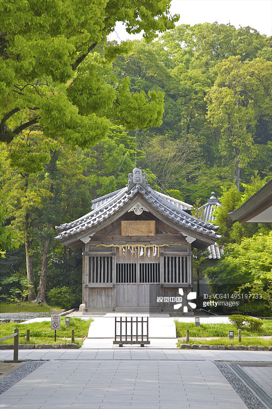 通往森林中传统神殿的道路图片素材