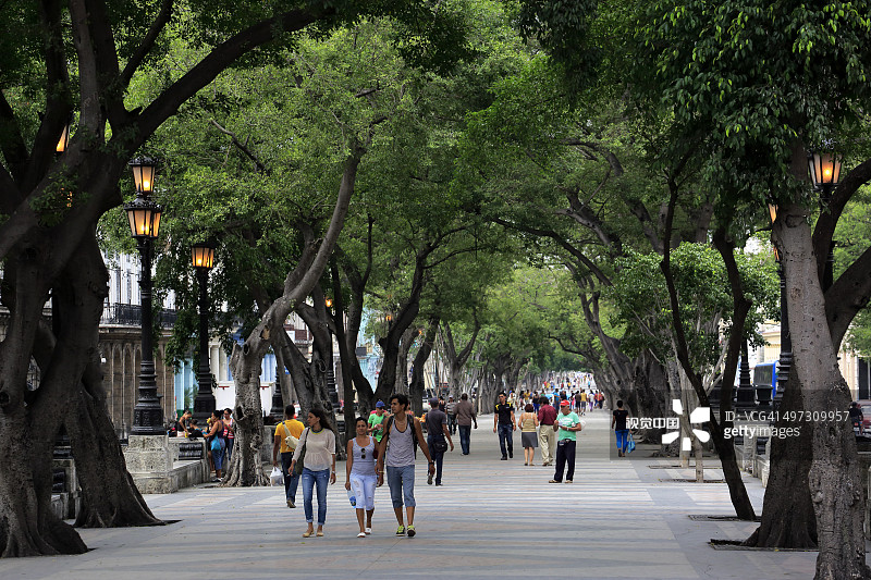 普拉多大道图片素材