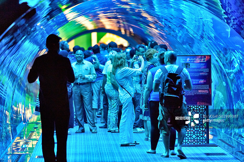 迪拜水族馆和水下动物园图片素材