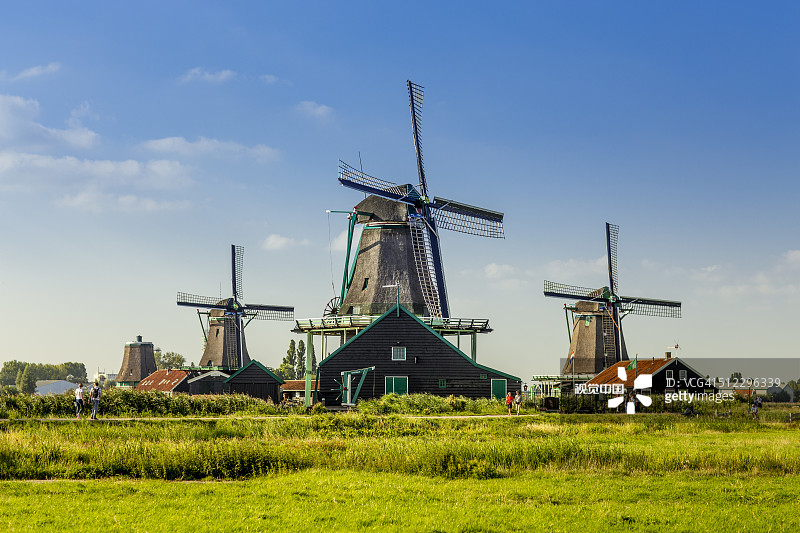 绿草地上的赞斯堡垒风车图片素材