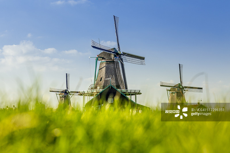 绿草地上的赞斯堡垒风车图片素材
