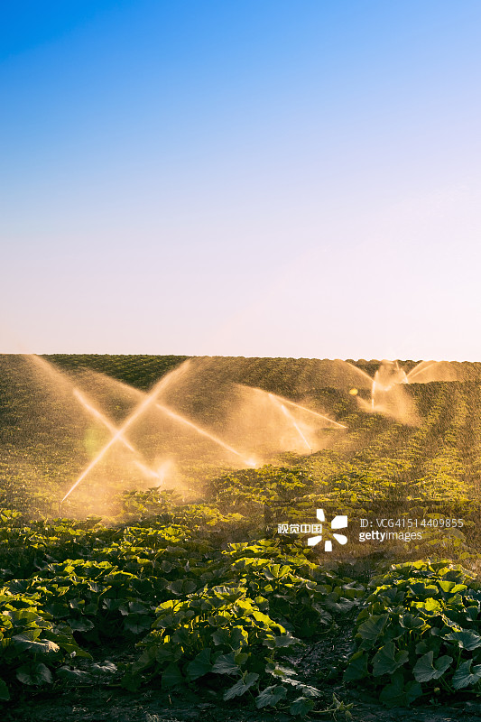 有灯光的洒水器浇着农田图片素材