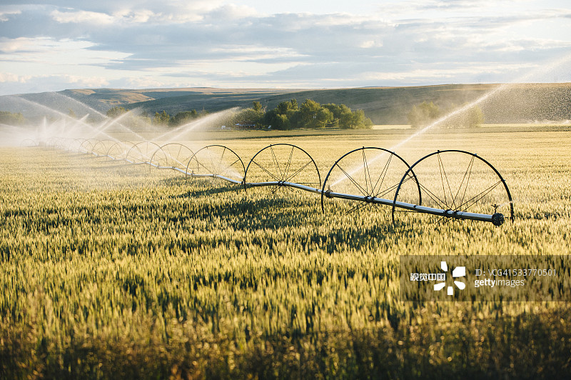 灌溉系统在农田灌溉作物图片素材